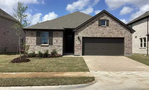 New construction Single-Family house 2503 Daisy Ln, Melissa, TX 75454 plan Meridian - image