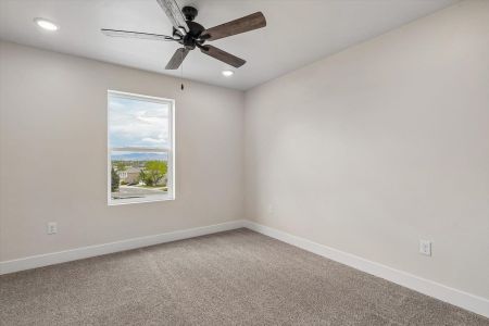 New construction Single-Family house 3047 Curly Grove, Colorado Springs, CO 80922 plan Primrose - image 16