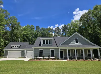 New construction Single-Family house 6066 Sourwood Trl, Ridgeville, SC 29472 - image