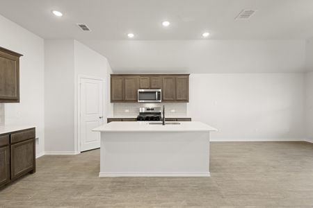 New construction Single-Family house 15016 Amantes Ave, Haslet, TX 76052 plan Austin - image 4