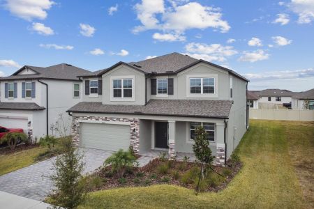 New construction Single-Family house 38433 Pindos Dr, Dade City, FL 33525 Mira Lago- photo 146 146