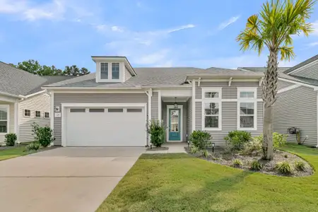 New construction Single-Family house 128 Summerwind Dr, Summerville, SC 29486 - image
