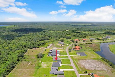 New construction Single-Family house 5112 Lake Toscana Dr, Wimauma, FL 33598 Burano- photo 4 4