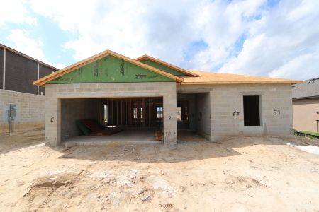 New construction Single-Family house 12227 Hilltop Farms Dr, Dade City, FL 33525 Sentinel- photo 12 12