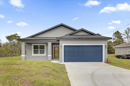 New construction Single-Family house 5 Fisher Loop Pass, Ocklawaha, FL 32179 - photo 0