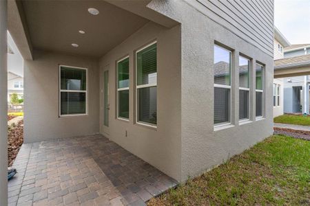 New construction Single-Family house 16294 Honey Harvest St, Winter Garden, FL 34787 null- photo 50 50