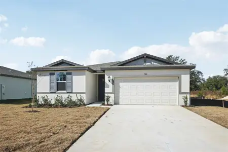 New construction Single-Family house 7201 Ray Creek Dr, Brooksville, FL 34601 plan Gardenia - image