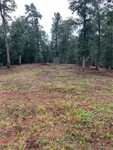 New construction Single-Family house 100 Red Plum Dr, Ellijay, GA 30540 - image