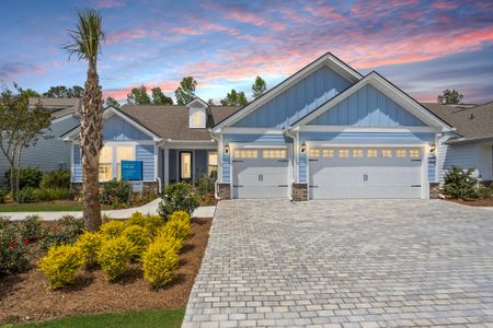 New construction Single-Family house 45 Coral Cove Rd, Bluffton, SC 29909 plan Stellar - image