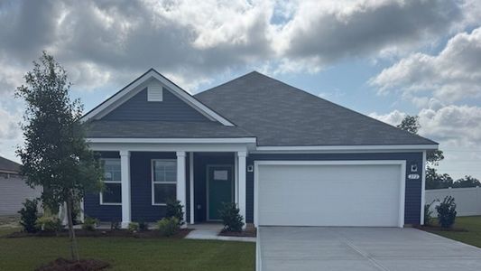 New construction Single-Family house 252 Red Buckeye Dr, Conway, SC 29527 plan Aria - image