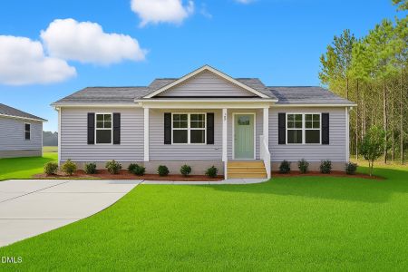 New construction Single-Family house 187 Page St, Teachey, NC 28464 - image