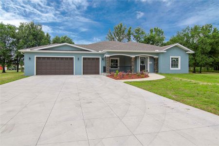 New construction Single-Family house 3603 Pioneer Country Trail, Plant City, FL 33567 - photo 0