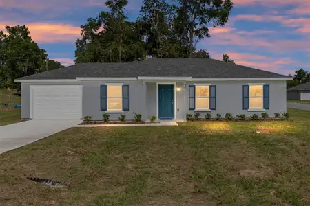 New construction Single-Family house 29 Juniper Pass Ln, Ocala, FL 34472 - image