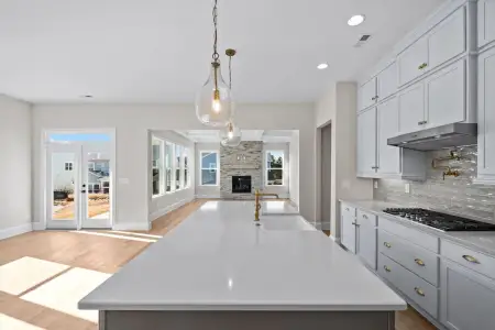 New construction Single-Family house 1264 Sage Pine Cir, Clover, SC 29710 plan Bethpage - image 7