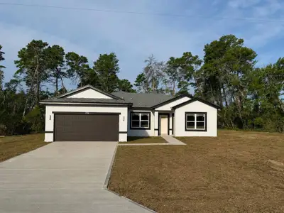 New construction Single-Family house 17386 Sw 25Th Cir, Ocala, FL 34473 - image