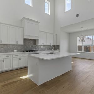New construction Single-Family house 118 Harlan Ct, Aledo, TX 76008 null- photo 32 32