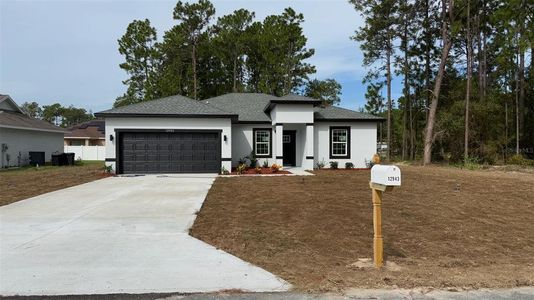 New construction Single-Family house 12943 Sw 77Th Cir, Ocala, FL 34473 - image