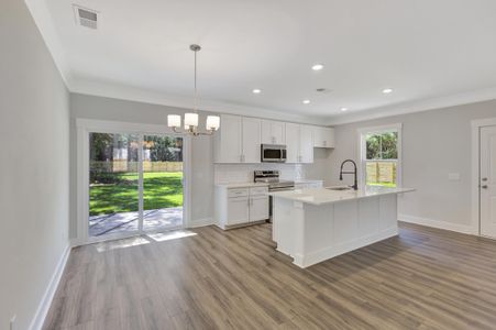 New construction Single-Family house 6339 N Hwy 17, Awendaw, SC 29429 - image 6