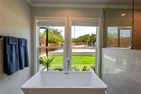 New construction Single-Family house 131 Stoney End Ln, Graford, TX 76449 - image