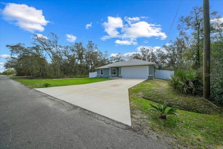 New construction Single-Family house 41 Fisher Way Run, Ocklawaha, FL 32179 - image