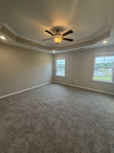 New construction Single-Family house 300 Selesia Ln, Pleasant View, TN 37146 - image 11