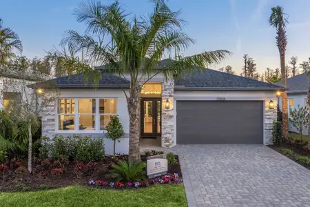 New construction Single-Family house 3349 Malta Ave, Wesley Chapel, FL 33543 plan Ibis - image