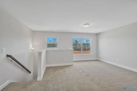 New construction Single-Family house 911 Pine Top Ln, Cantonment, FL 32533 plan 2025 - image 19