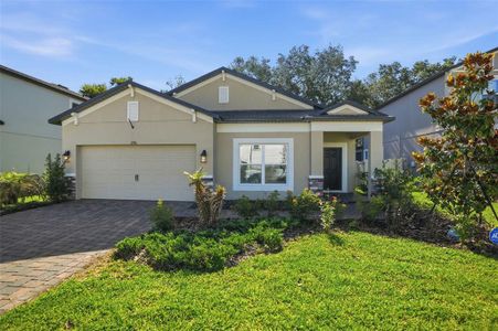 New construction Single-Family house 11996 Hilltop Farms Dr, Dade City, FL 33525 plan Picasso - image