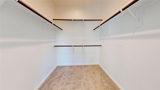 New construction Single-Family house 11833 E Gate Dr, Willis, TX 77318 plan Catalina - image 17