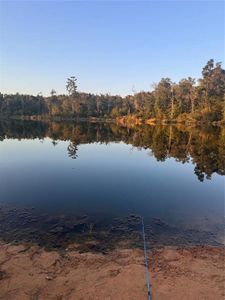 The shore of the neighborhood lake, looking from your property that goes to the lake.  Your home is one of less than ten homes on the lake.  The wooded property across the lake is privately owned.