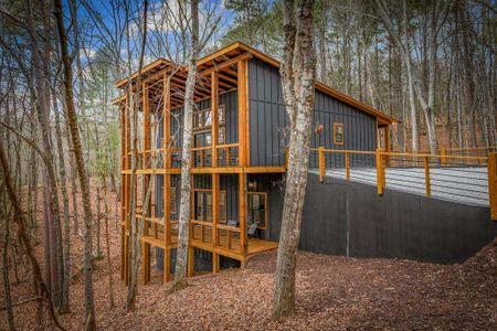 New construction Single-Family house 85 Duck Cv, Morganton, GA 30560 - image