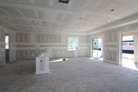 New construction Single-Family house 20264 Oriana Loop, Land O' Lakes, FL 34638 Santa Monica- photo 93 93