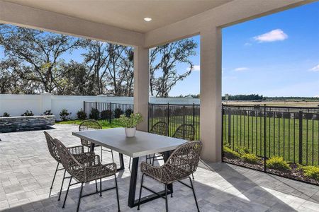 New construction Single-Family house 1593 Evening Summit Cir, Minneola, FL 34715 Renown- photo 36 36