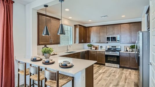 Asante Artisan: Reflection by Lennar in Surprise - photo 20 20