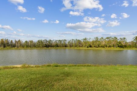 New construction Single-Family house 7819 Notched Pine Bnd, Wesley Chapel, FL 33545 Windsor- photo 61 61