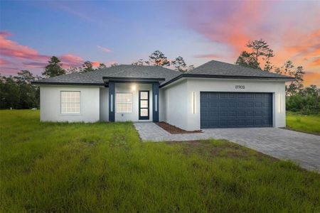 New construction Single-Family house 17703 Sw 38Th Avenue Rd, Ocala, FL 34473 - image