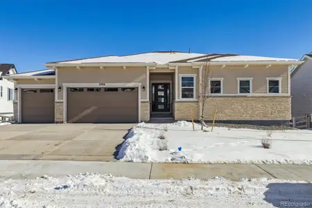 New construction Single-Family house 4704 Twelve Oaks Way, Castle Rock, CO 80104 Daniel- photo 14 14