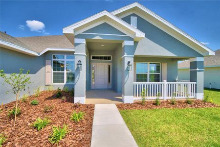 New construction Single-Family house 4081 Tullamore Lane, Auburndale, FL 33823 2508- photo 0