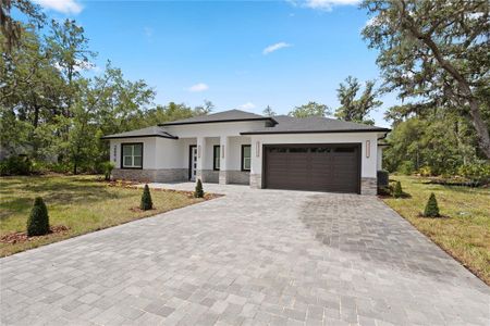 New construction Single-Family house 30076 Apricot Ave, Eustis, FL 32736 - image