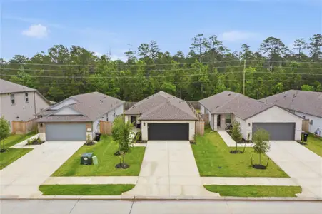 New construction Single-Family house 16687 Sterling Cliff St, Conroe, TX 77302 plan The Pinnacle (347) - image