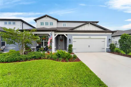 New construction Single-Family house 3899 Ivy Springs Ln, Land O' Lakes, FL 34638 - image