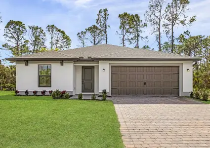 New construction Single-Family house 1317 Tropicana Pkwy W, Cape Coral, FL 33993 plan Tortuga - image