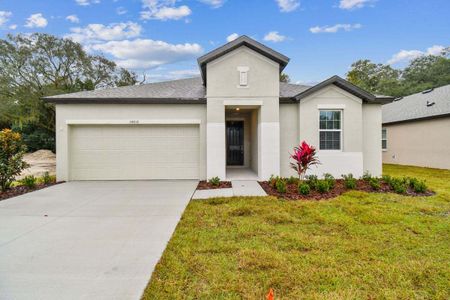 New construction Single-Family house 34826 Mulrion Drive, Zephyrhills, FL 33541 - photo 0