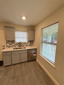 Kitchen with decorative backsplash, dark hardwood / wood-style flooring, sink, and dishwashing machine