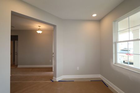 New construction Single-Family house 31236 Denham Ridge Ln, Wesley Chapel, FL 33545 Santa Monica- photo 122 122