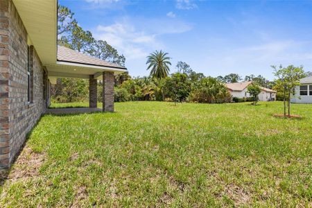 New construction Single-Family house 20 Selma Trl, Palm Coast, FL 32164 plan 2117 - image