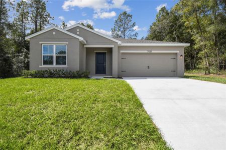 New construction Single-Family house 7928 N Creek Wy, Unit 59, Citrus Springs, FL 34434 - image