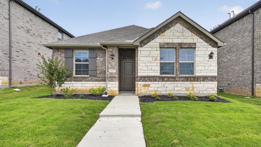 New construction Single-Family house 2541 Crestone Dr, Celina, TX 75009 plan Crestone - image