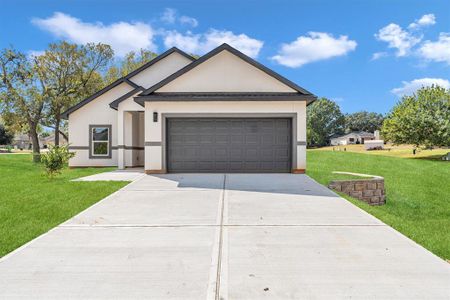 New construction Single-Family house 1005 Lake View Drive, Montgomery, TX 77356 - photo 0