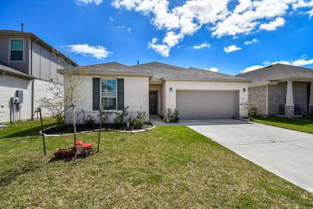 New construction Single-Family house 338 Paso Fino Dr, Alvin, TX 77511 - image